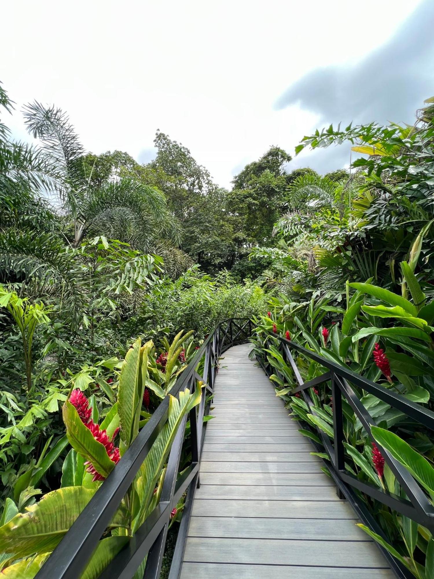 Hotel Boutique Casa Del Rio La Fortuna Luaran gambar